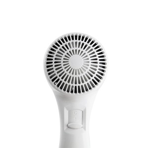 AOLGA Wall-Mounted-Hair Dryer RCY-67588B（White）