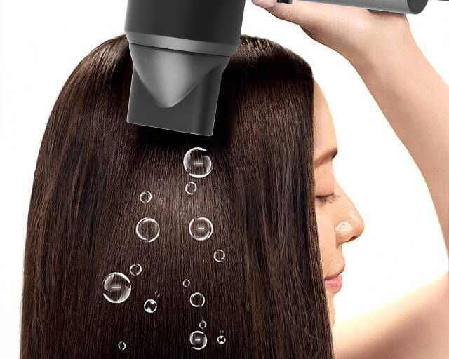 Anion Hair Dryer