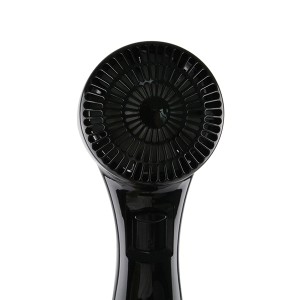 AOLGA Wall-Mounted-Hair Dryer RCY-67588B(black)