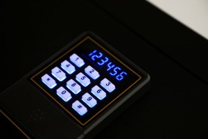 AOLGA Electronic Password Safes K-FG003 International ADA silicon blue backlit buttons